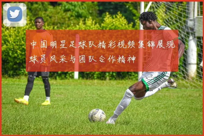 中国明星足球队精彩视频集锦展现球员风采与团队合作精神