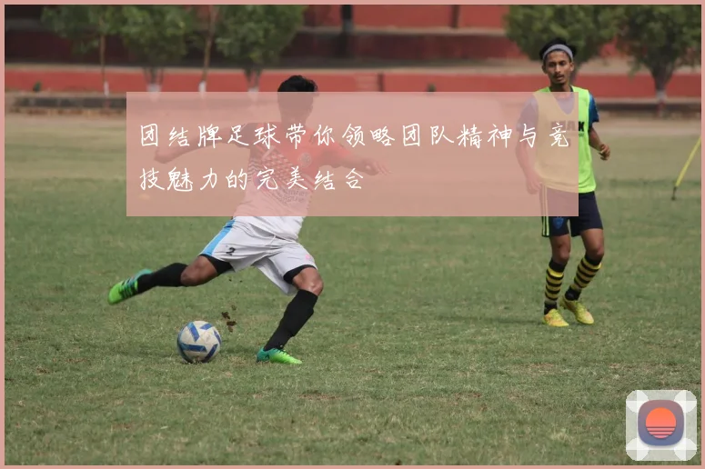 团结牌足球带你领略团队精神与竞技魅力的完美结合